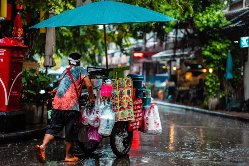 Street Food Delights